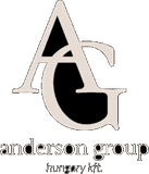 Anderson Group